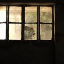 StillCut_3