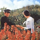 StillCut_0