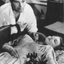 StillCut_0