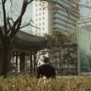 StillCut_0