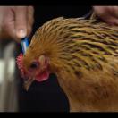 StillCut_1