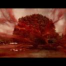 StillCut_9
