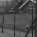 StillCut_2