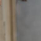 StillCut_5