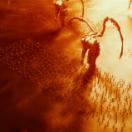 StillCut_10