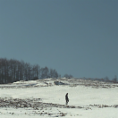 StillCut_0