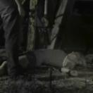 StillCut_0