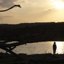 StillCut_6