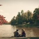 StillCut_0