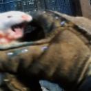 StillCut_1