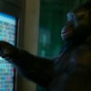 StillCut_0