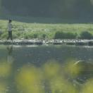 StillCut_8