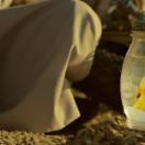 StillCut_0