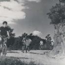 청춘교사2.jpg