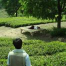 StillCut_4