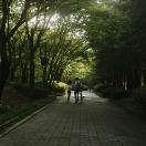 StillCut_1