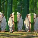 StillCut_2