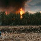 StillCut_3