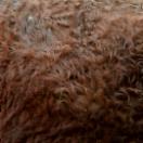 StillCut_1