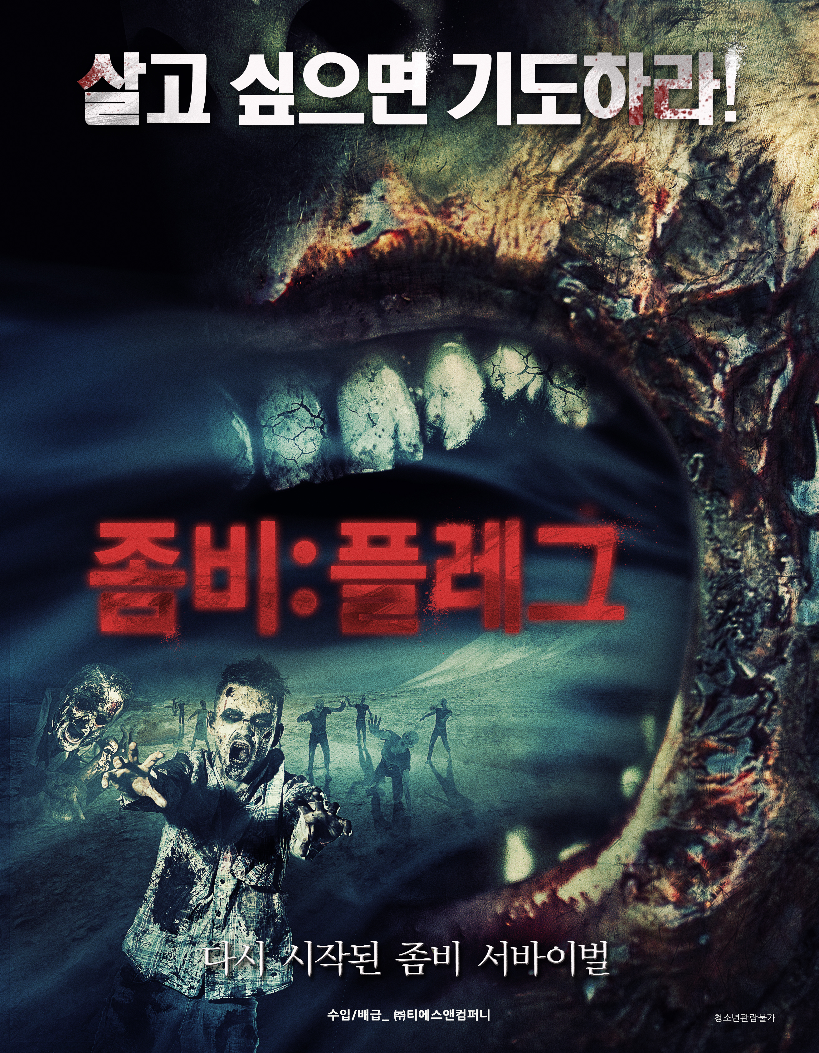 좀비 : 플레그