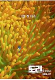 Anemone.jpg