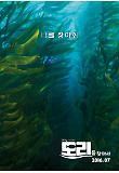 Kelp.jpg