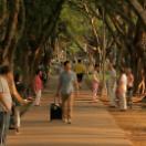 StillCut_0