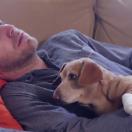 StillCut_6