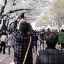 StillCut_7