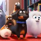 StillCut_7