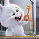 StillCut_6