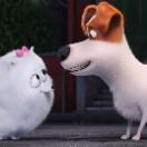 StillCut_14