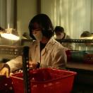 StillCut_0