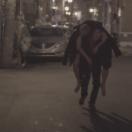StillCut_12
