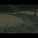 StillCut_0