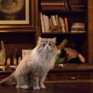 StillCut_8