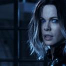 StillCut_8
