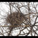 StillCut_0