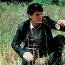 StillCut_1