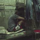 StillCut_4