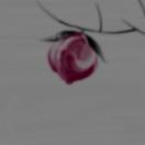 StillCut_0