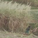 StillCut_4