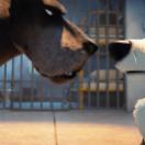 StillCut_5