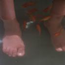 StillCut_0