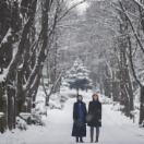 StillCut_5