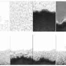StillCut_0