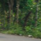 StillCut_28