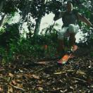 StillCut_29
