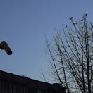 StillCut_4