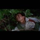 StillCut_0